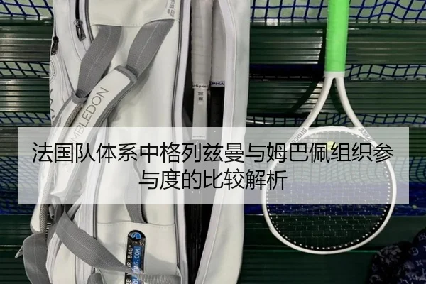 法国队体系中格列兹曼与姆巴佩组织参与度的比较解析